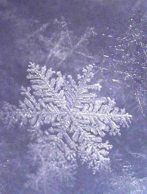 Sugarplum Snowflake