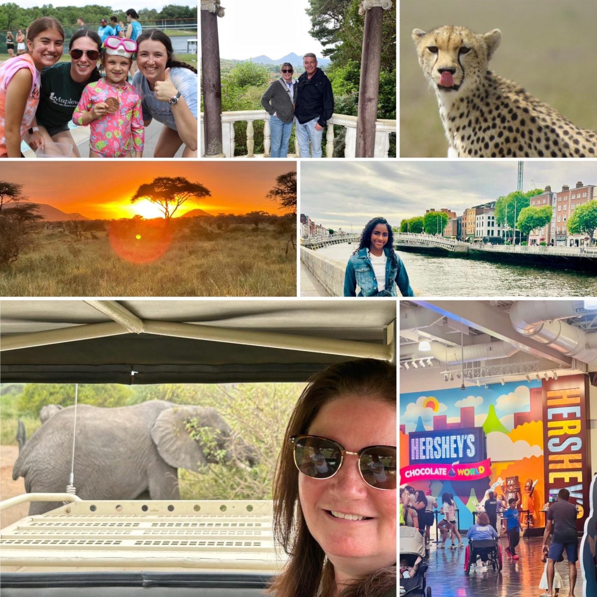 Capturing the essence of all the interesting things that the staff has done over the summer, photo collage created by Navya Agrawal and Liana Caldera